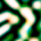 584