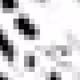 828