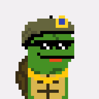 Turtle #880