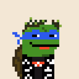 Turtle #866