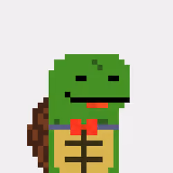 Turtle #1121