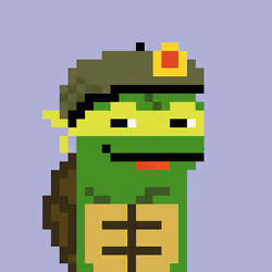 Turtle #1226
