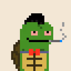 Turtle #1089
