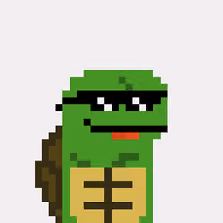 Turtle #889