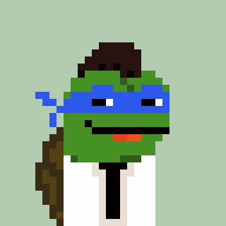 Turtle #378