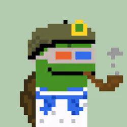 Turtle #1247