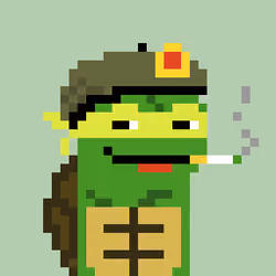Turtle #873