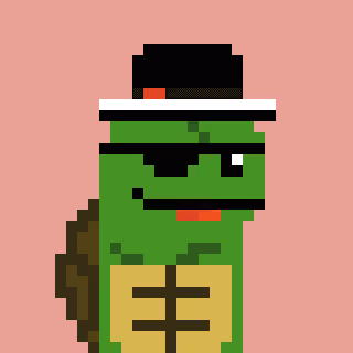Turtle #845