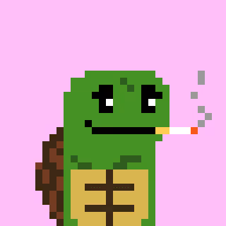 Turtle #908
