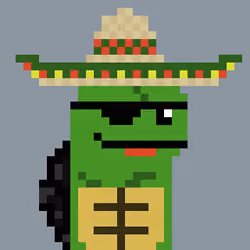 Turtle #1225