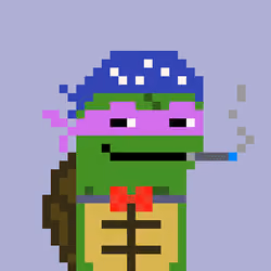 Turtle #1248
