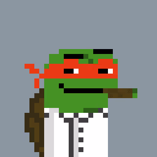 Turtle #434