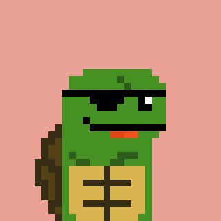 Turtle #821