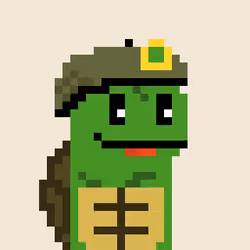 Turtle #912
