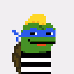 Turtle #1348