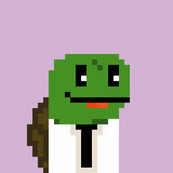 Turtle #789