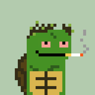 Pixelturtles