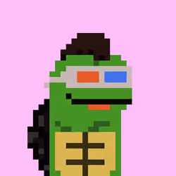 Turtle #711