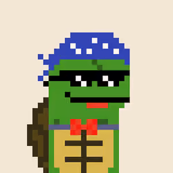 Turtle #1224