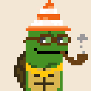 Turtle #719