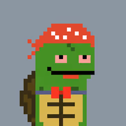 Turtle #874