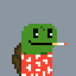 Turtle #843