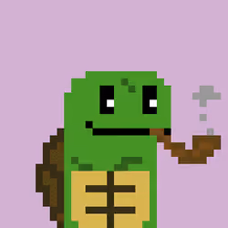 Turtle #842