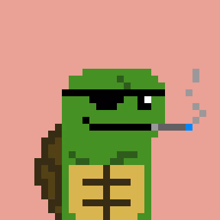 Turtle #747