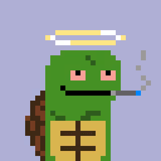 Turtle #84