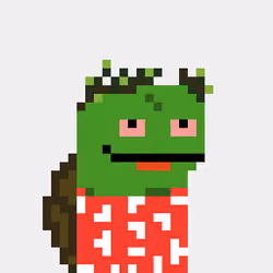 Turtle #546