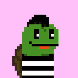 Turtle #1381