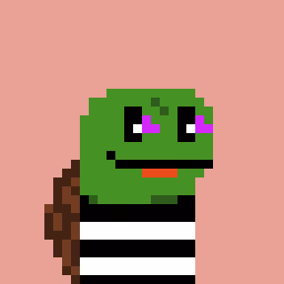 Turtle #1349