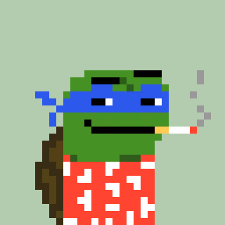 Turtle #535