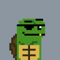 Turtle #1027