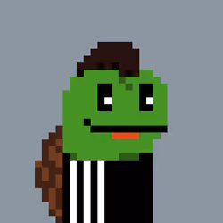 Turtle #712