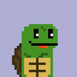 Turtle #1158