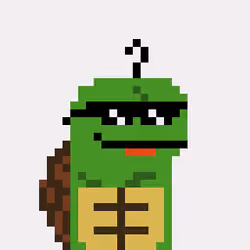 Turtle #841