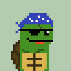 Turtle #329