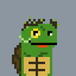 Turtle #1120