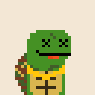 Turtle #557