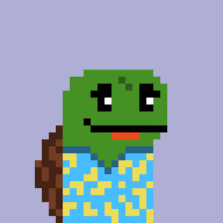 Turtle #1069