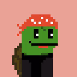 Turtle #1386