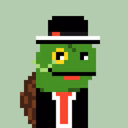 Turtle #545
