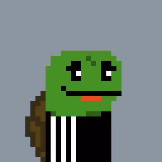Pixelturtles