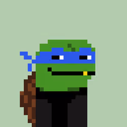 Turtle #286