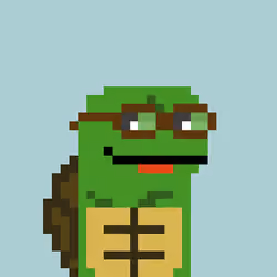 Turtle #957