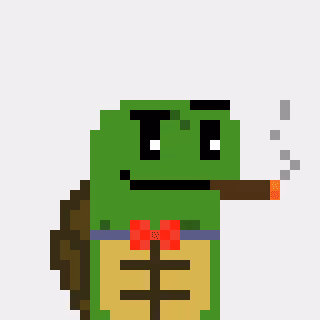 Turtle #1588