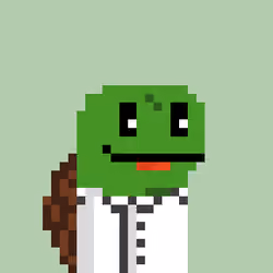 Turtle #610