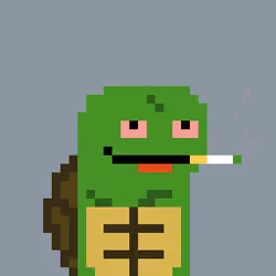 Turtle #956