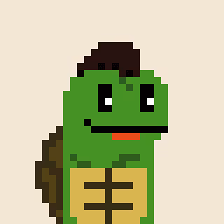 Pixelturtles
